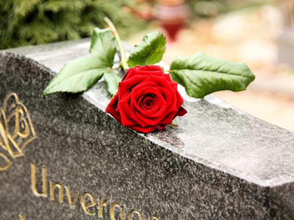 Bild mit roter Rose auf einem Grabstein - AdobeStock