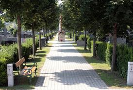 Bild vom gepflasterten Weg in Friedhof Döbling